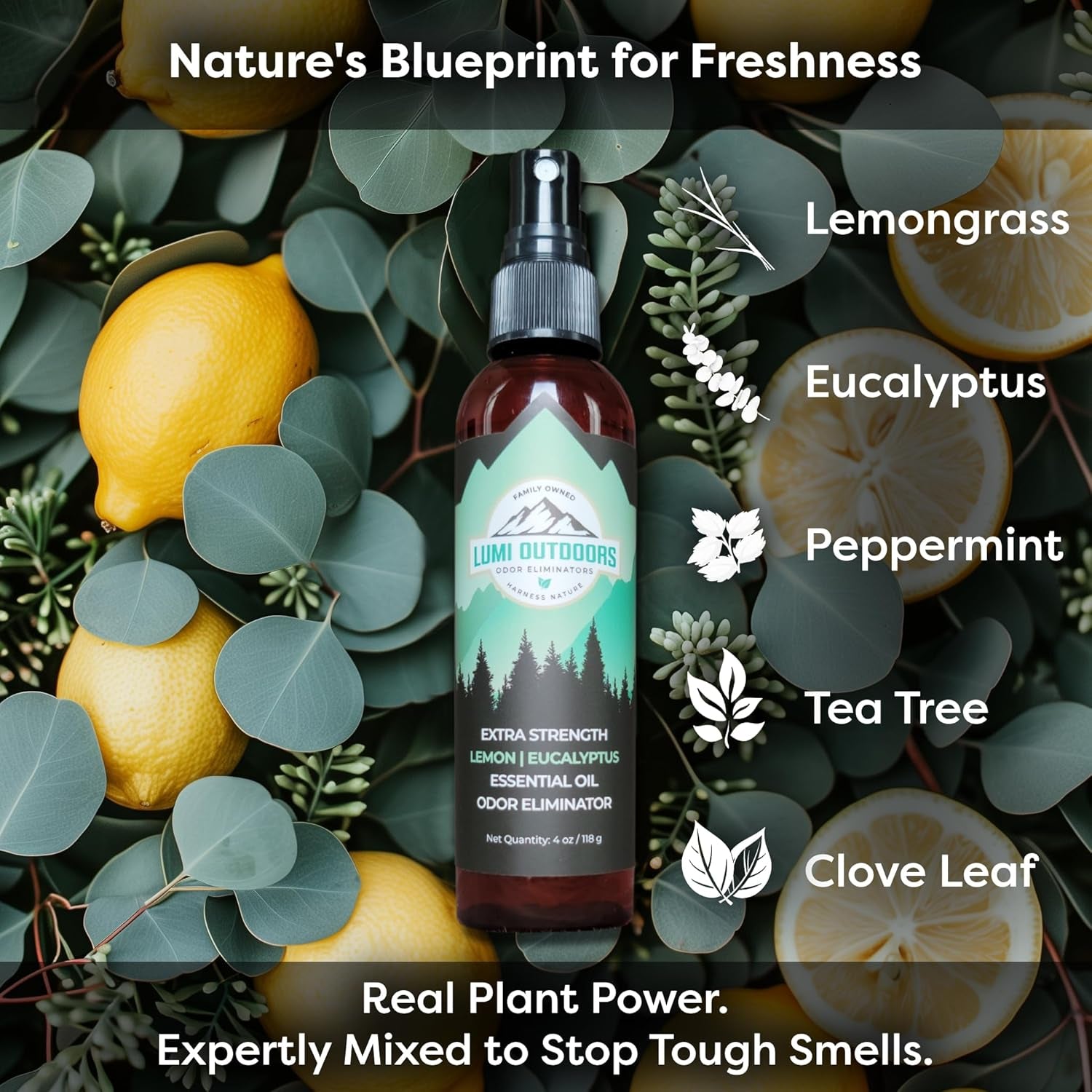 Shoe Deodoriser & Odor Eliminator Spray - Natural Shoe Deodorizer Smell Eliminator by  - Extra Strength Eucalyptus Lemongrass Freshener (Pack of 1)