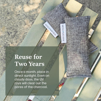 Charcoal Shoe Deodorizer Inserts | Unscented Odor Absorbers for Footwear and Gym Bags | Air Purifying Bags (Set of Two)